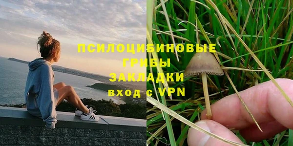 МДПВ Верхний Тагил