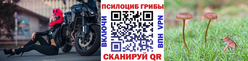 как найти закладки  кракен онион  нарко площадка как зайти  Зеленодольск  Псилоцибиновые грибы Magic Shrooms 